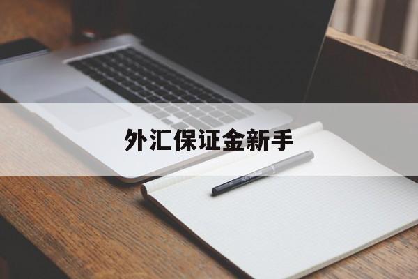 外汇保证金新手(外汇保证金新手怎么交)