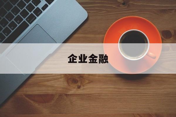 企业金融(企业金融是做什么的)